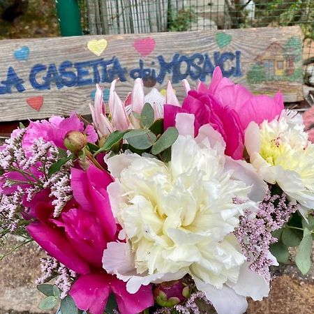 La casetta dei Mosaici Capraia Esterno foto