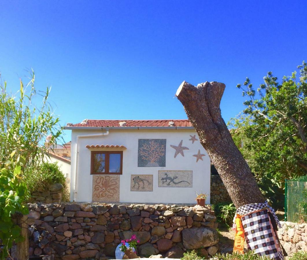 La casetta dei Mosaici Capraia Esterno foto